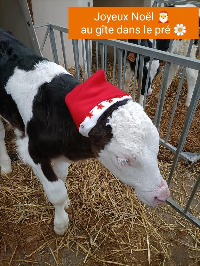 Gite Dans Le Pre Hesdin L'Abbe Carly Exterior photo